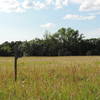 There are many bird feeders along the Eco Loop to view birds.