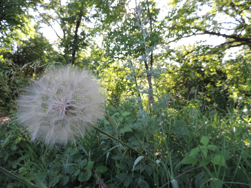 You'll encounter very few people along the trails, so expect undisturbed beauty right along the trail.