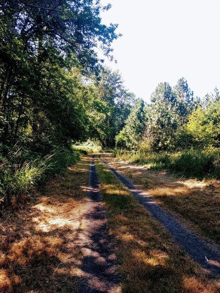 Eola Bend Park at Minto-Brown Park.