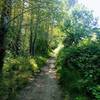 Trail to Eola Bend Park at Minto-Brown Park.