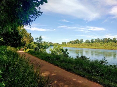 Willamette River at Minto-Brown Park.