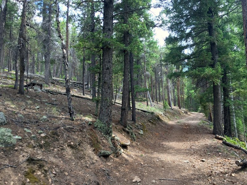 The first couple miles follow an old forest service road.