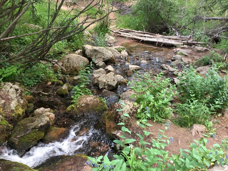 The crossing at this healthy stream ~4.5 miles in is a great place to refill on water.