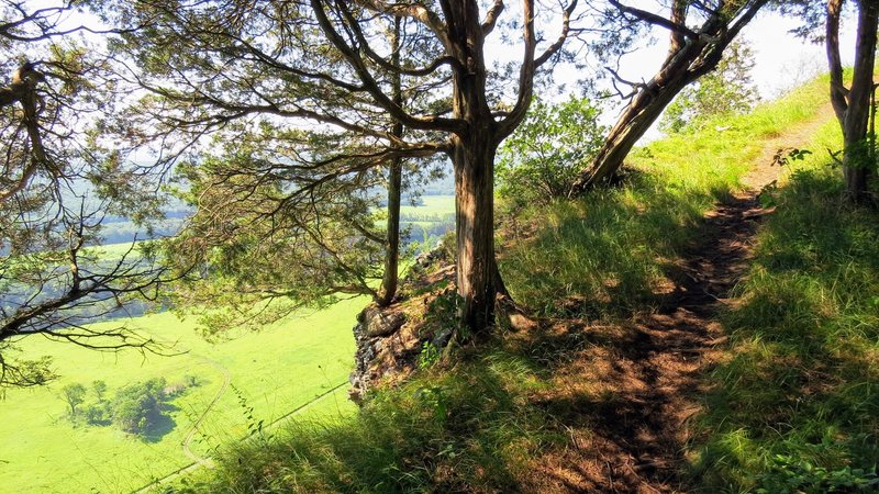 One might argue the highlight of Cliff Park Trail is not necessarily the constant views, but the wonderful singletrack itself, which winds perilously close to the edge in many portions.