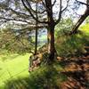 One might argue the highlight of Cliff Park Trail is not necessarily the constant views, but the wonderful singletrack itself, which winds perilously close to the edge in many portions.