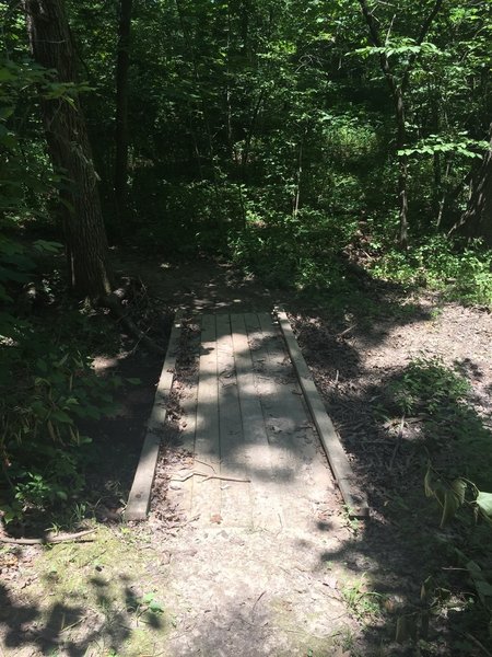 One of the wooden bridges.