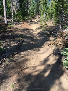 Showing the somewhat "gully" like nature of the trail at times.