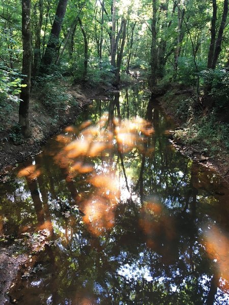 Stream crossing on the Spoon Branch