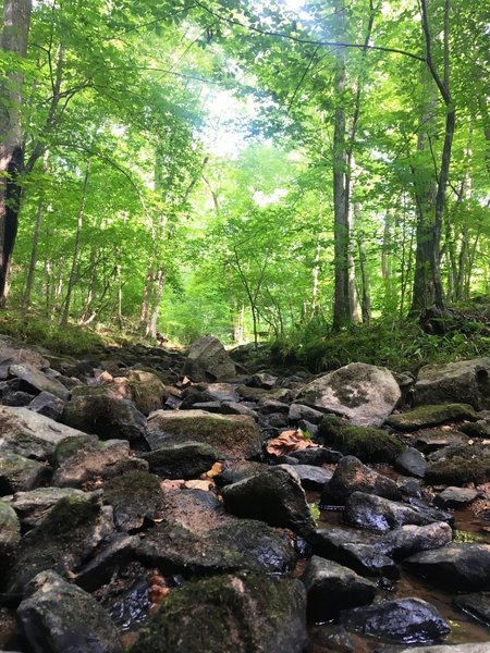 Rocky creek crossing