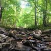 Rocky creek crossing