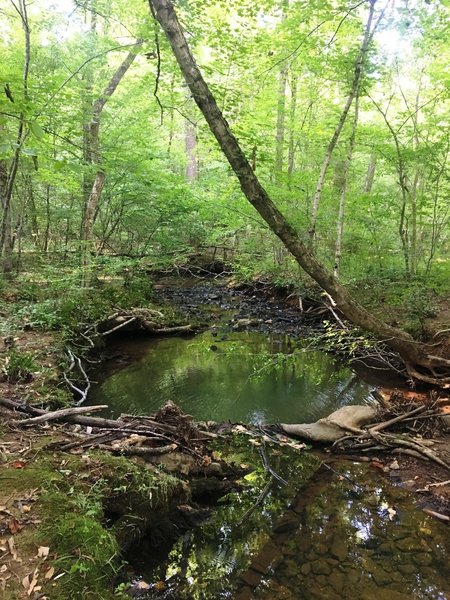 Clear waters on Rocky Creek