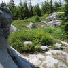 The wind carves out these sandstone rock formations, and the trail bed is more akin to beach sand than anything else on Rocky Ridge Trail in the Dolly Sods Wilderness Area.