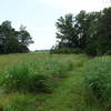 Grass walking path and birdhouses. Bull Run mountains in the distance.