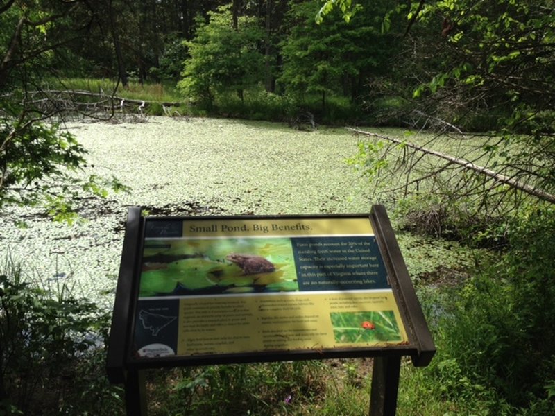 Just one of 34 interpretive signs at Leopold's Preserve. This one was co-authored by Virginia Tech's Conservation Management Institute. It's about the benefits of small ponds, like this one here.