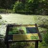 Just one of 34 interpretive signs at Leopold's Preserve. This one was co-authored by Virginia Tech's Conservation Management Institute. It's about the benefits of small ponds, like this one here.