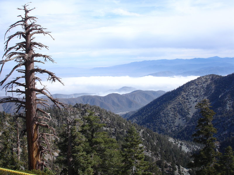 The view from Devil's Backbone.