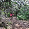 A shady section of the trail.