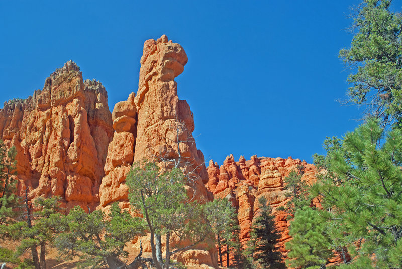 From Hoodoo Trail. Tower almost looks like some kind of creature.