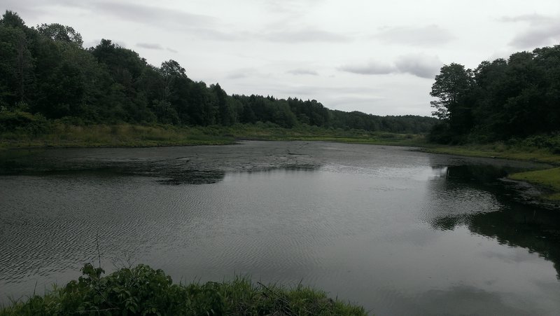 Reservoir - beaver or man? Catch the beautiful view.