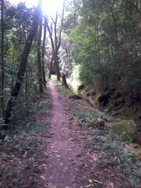 Matinha Trail