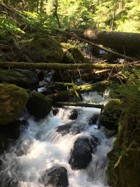 Rushing waters of Lost Creek atop a bridge crossing.