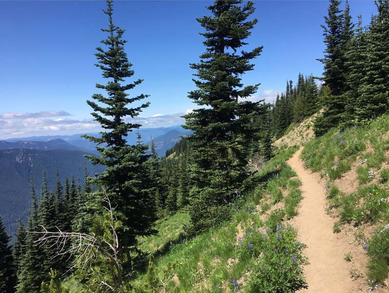 Soft sandy singletrack with a view!