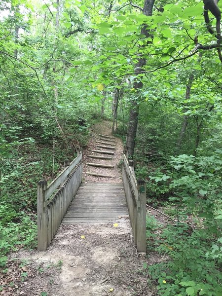 Wooden bridge