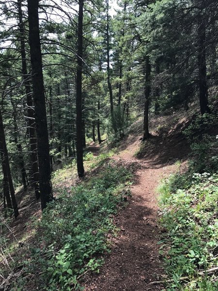 Chautauqua Trail climbing the northern ridge.