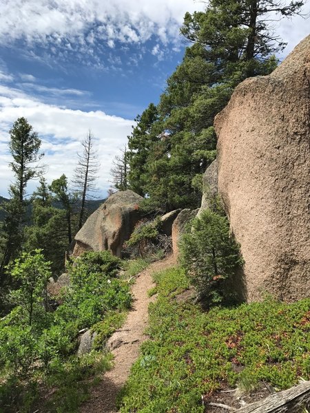 Chautauqua Trail along the ridge near the boulder outcroppings at mile 1.7