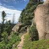 Chautauqua Trail along the ridge near the boulder outcroppings at mile 1.7