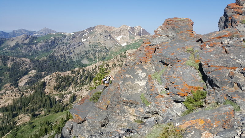 This is the ridge leading to Devil's Castle, on the right outside the frame is a cliff leading down to Alta Ski Resort, the view on the left is the top of American Fork Canyon.