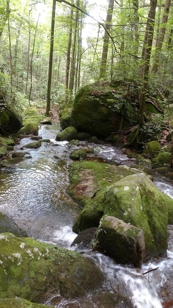 Falls Creek just off the trail.