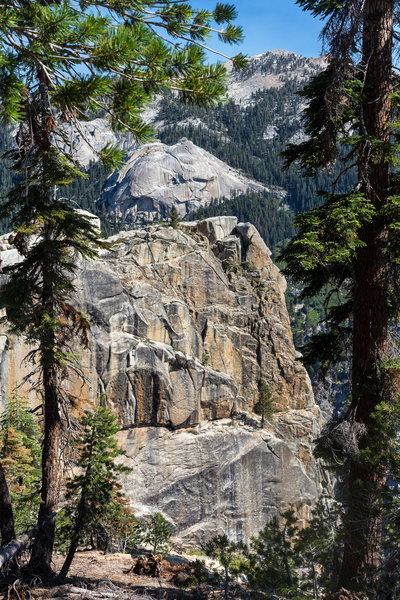 The Watchtower through the trees