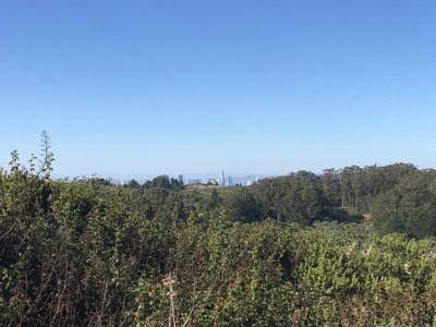 The city starts to poke its head from beyond the hills.