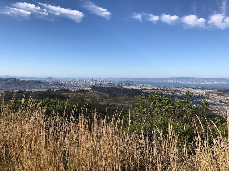 View of the city from the top of San Bruno Mountain