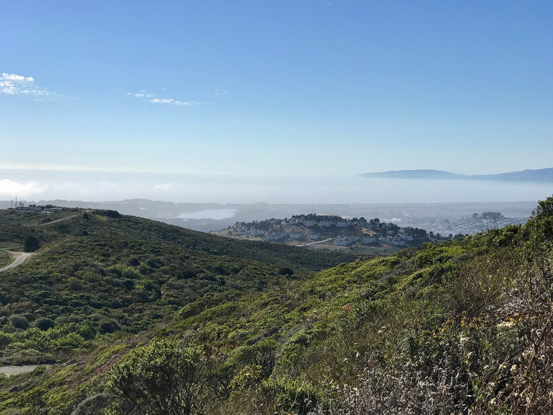 A view of the Golden Gate