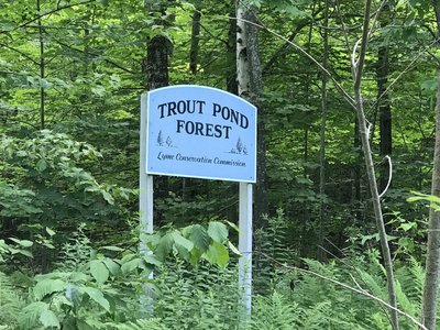 Sign that indicates where the parking area is.