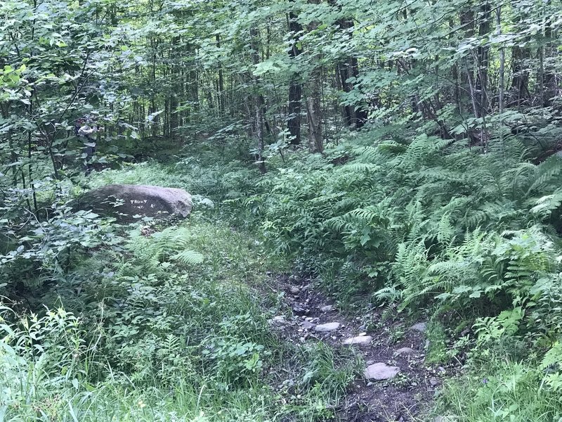 Entrance to the trail, about 100 paces from the parking area, on the right.  Not obvious unless you know what you're looking for.