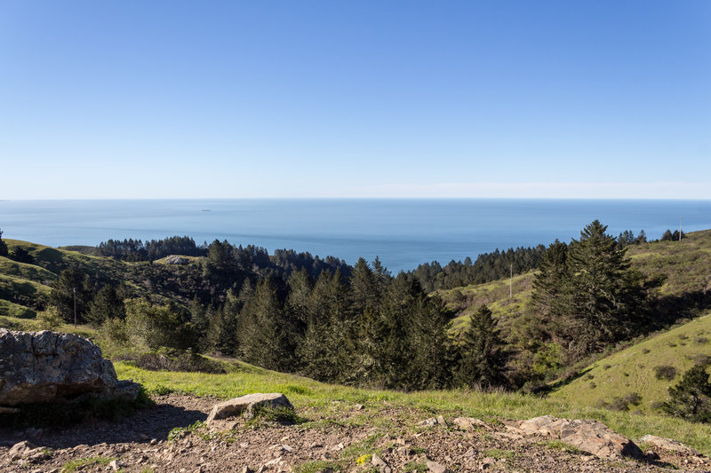 Coastal view from Dipsea Trail