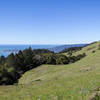 View from Bare Knoll towards the coast