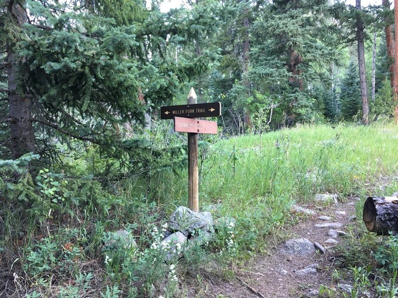 After this intersection, the Miller Fork Trail becomes obscure.