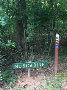 Trailhead at/near Old Nation Road