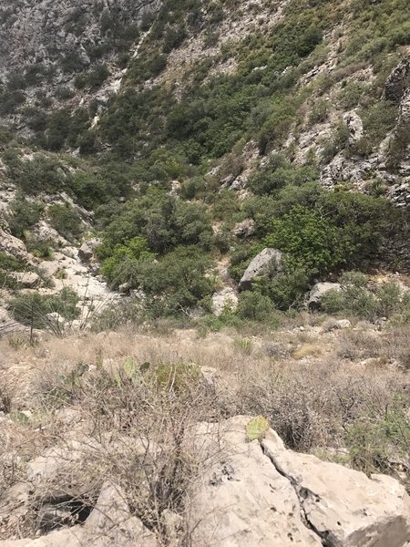 This is the switchback in Yucca Canyon. Hardest part of the trek.