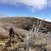 Fall frost atop Black Balsam Knob