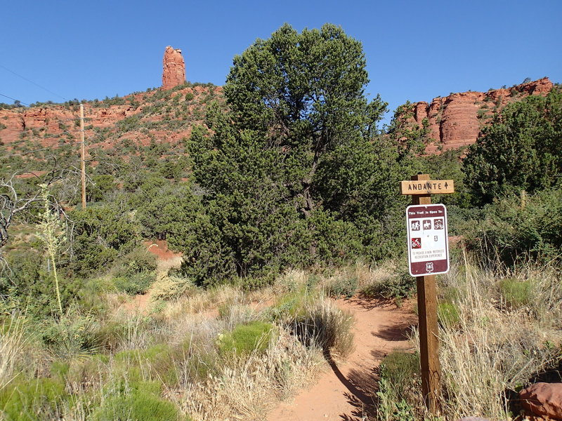 View from the parking area