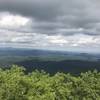 Summit of Rabun Bald - Three Fork Trails