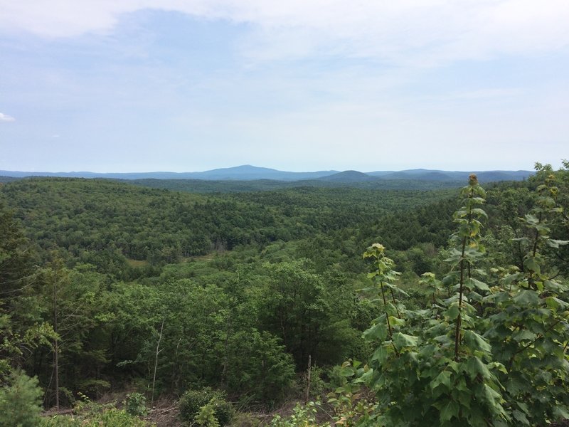 Nice view on the Pisgah Ridge Trail. Saw a hawk gliding in this area right after!