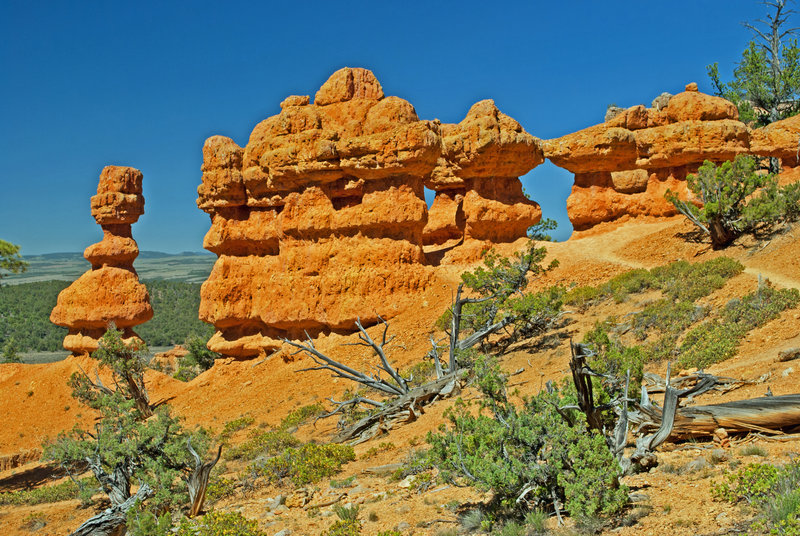 Golden hoodoos and walls on the Red Canyon Arches Trail