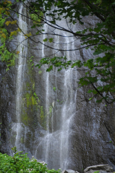 Snoquera Falls through the brush