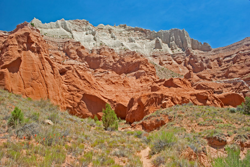 Entrance to box canyon on Grand Parade Trail. The wide, open area is about 100 yards back.